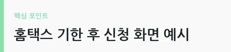 2026 자녀장려금 지급일 및 신청 방법 안내 — 홈택스 기한 후 신청 화면 예시