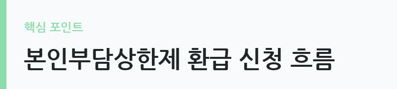 본인부담상한제 의료비 환급금 신청 안내 — 본인부담상한제 환급 신청 흐름